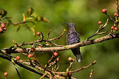 动视暴雪的骚扰赔偿金距离被批准又近了一步