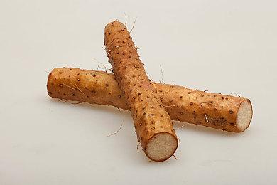 今年冬季发售《妖精的尾巴2》公开全新预告